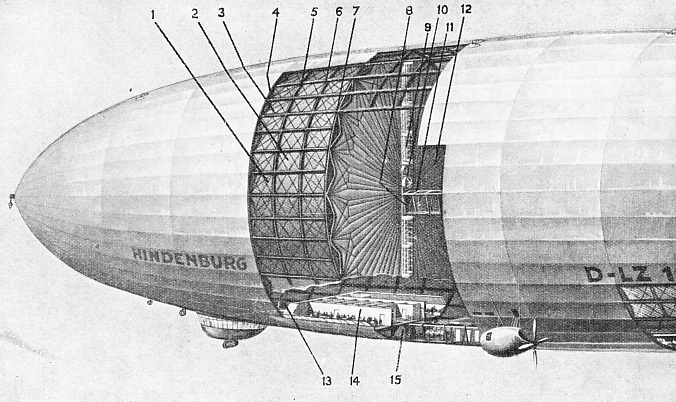 AN AIRSHIP’S GENERAL DESIGN is illustrated by this sectionalized diagram of the Hindenburg
