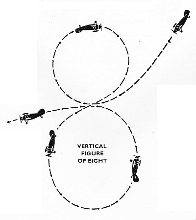 vertical figure of 8