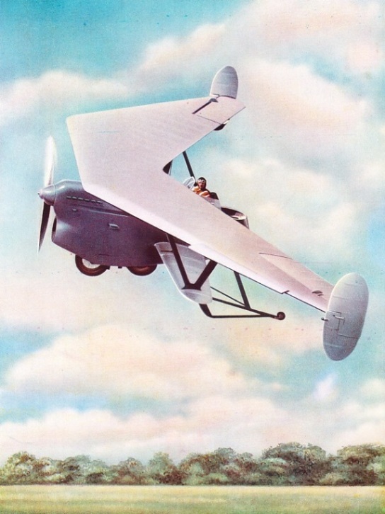 A TWO-SEAT PTERODACTYL AIRCRAFT of fighter type powered by a water-cooled engine
